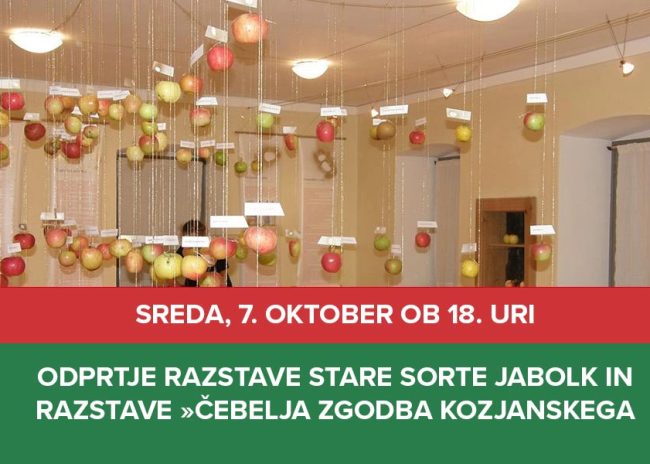 RAZSTAVE
