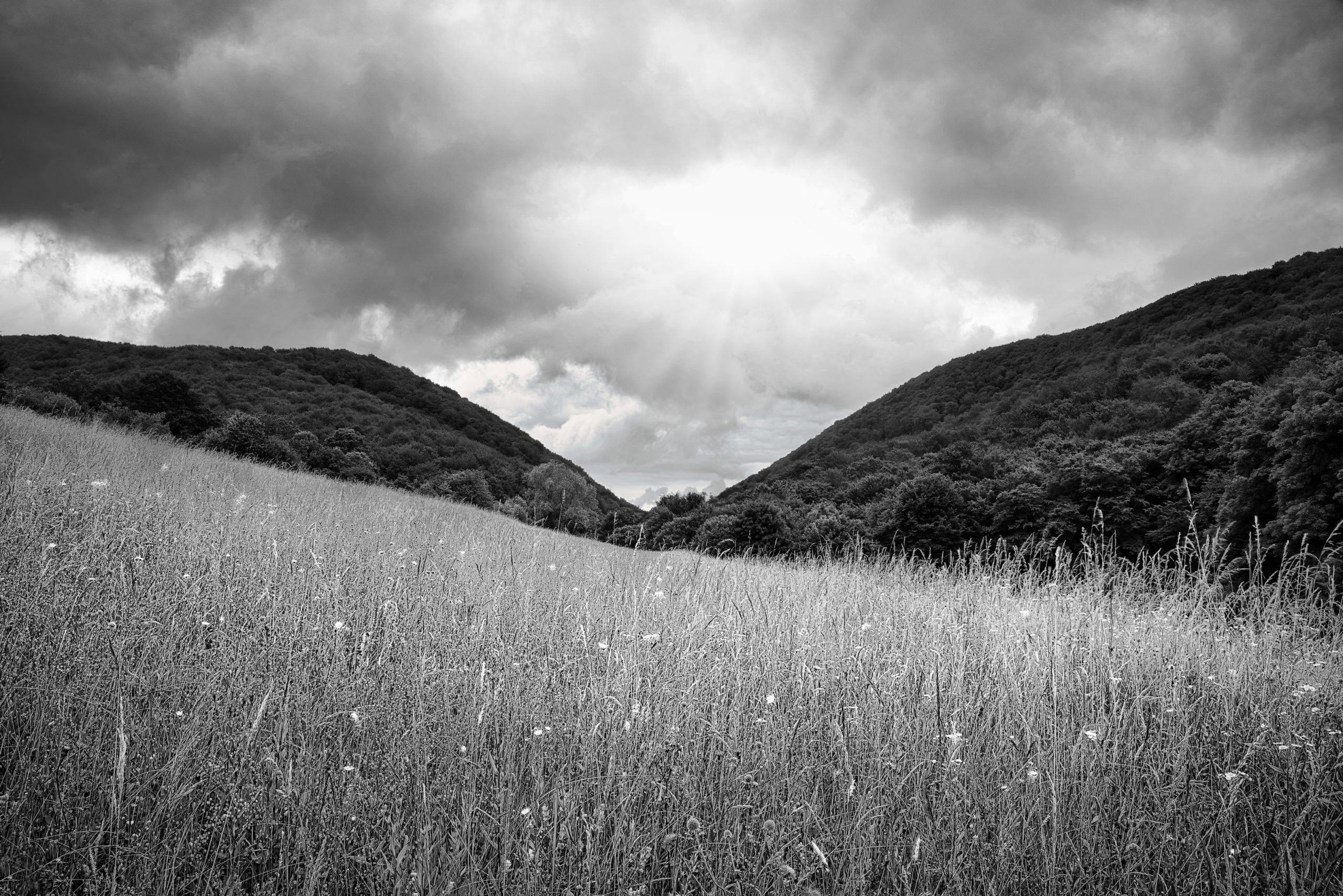 Davor Vidak_Livada pred kišu_Samoborsko gorje